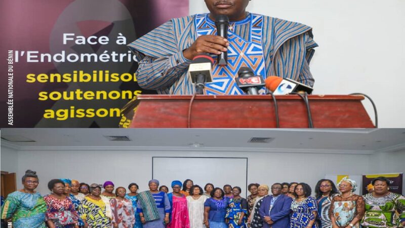 Bénin – Lutte contre l’endométriose: l&rsquo;ONG EndoEspoir rassemble les femmes parlementaires autour de la cause