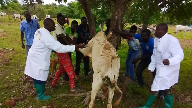 Bénin – Opération « Mirador » : des Actions Civilo-Militaires pour l&rsquo;efficacité de la lutte contre le terrorisme