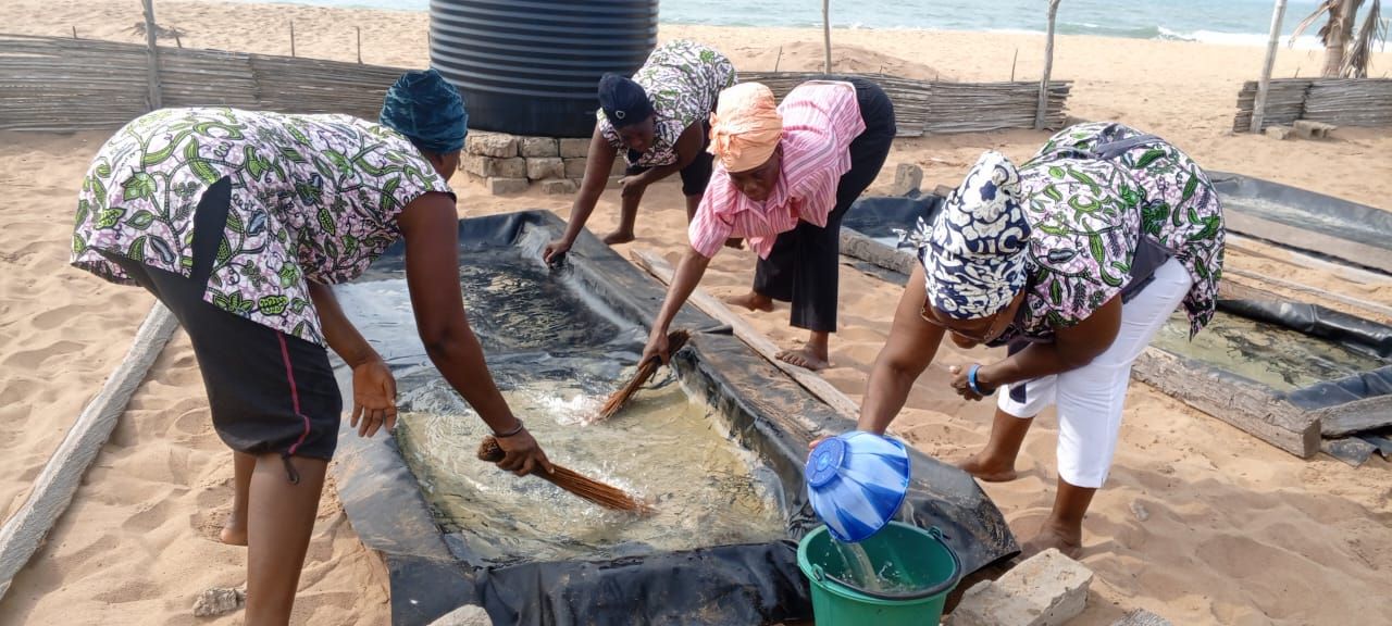 À Okoun-Sèmè, des femmes transforment le soleil en or blanc