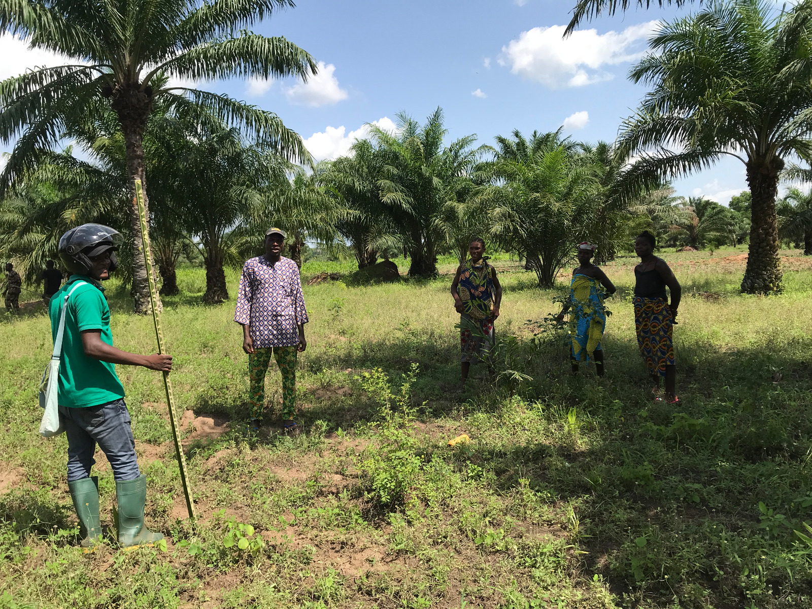 Les agriculteurs du sud du Bénin transforment les palmeraies en système de résilience face au changement climatique